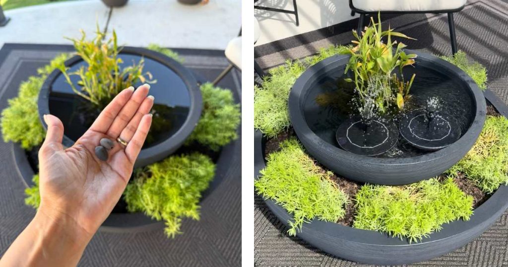 Minimal zen bowl with crystals and sedum plant for calming meditation space